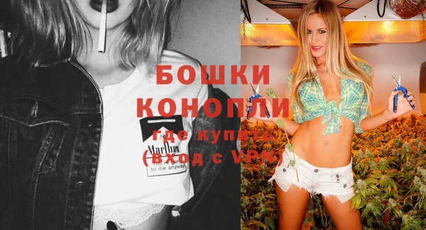 прущие грибы Баксан