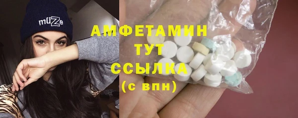 прущие грибы Баксан