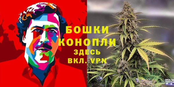 прущие грибы Баксан