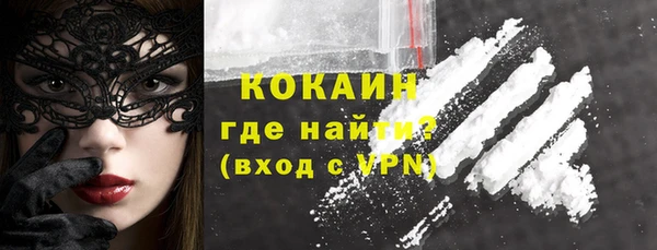 прущие грибы Баксан