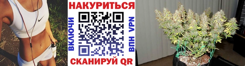 Конопля MAZAR Олёкминск